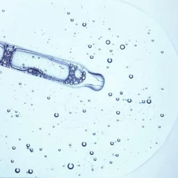 Raih Kesempurnaan Kulit Dengan Hyaluronic Acid Perfectha Lido